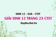 Giải Sinh 12 trang 23 Chân trời sáng tạo SGK